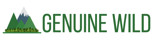 Check Out These Items On Amazon