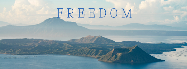 Check Out These Items On Amazon